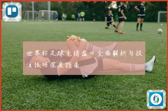 世界杯足球竞猜盘口全面解析与投注技巧深度指南