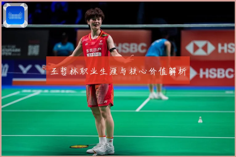 王哲林职业生涯与核心价值解析