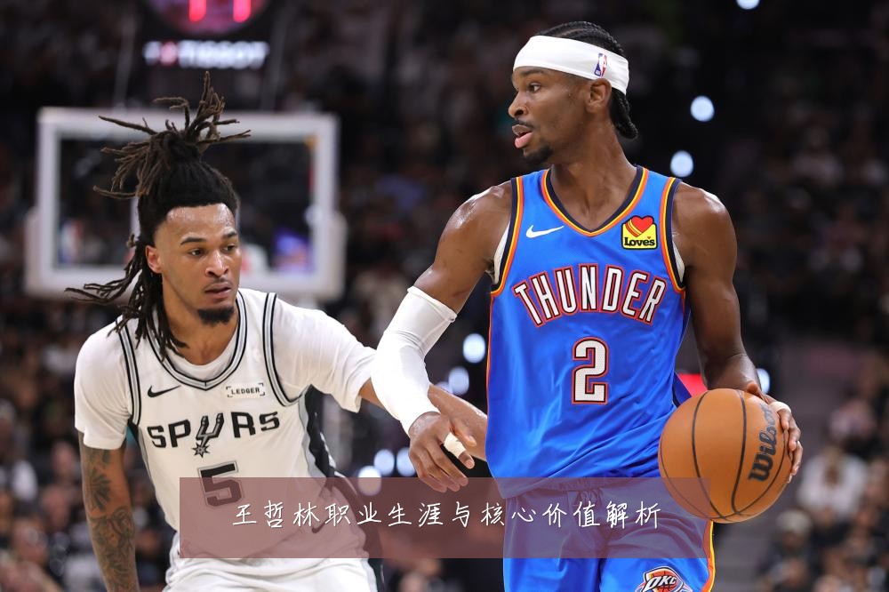 王哲林职业生涯与核心价值解析